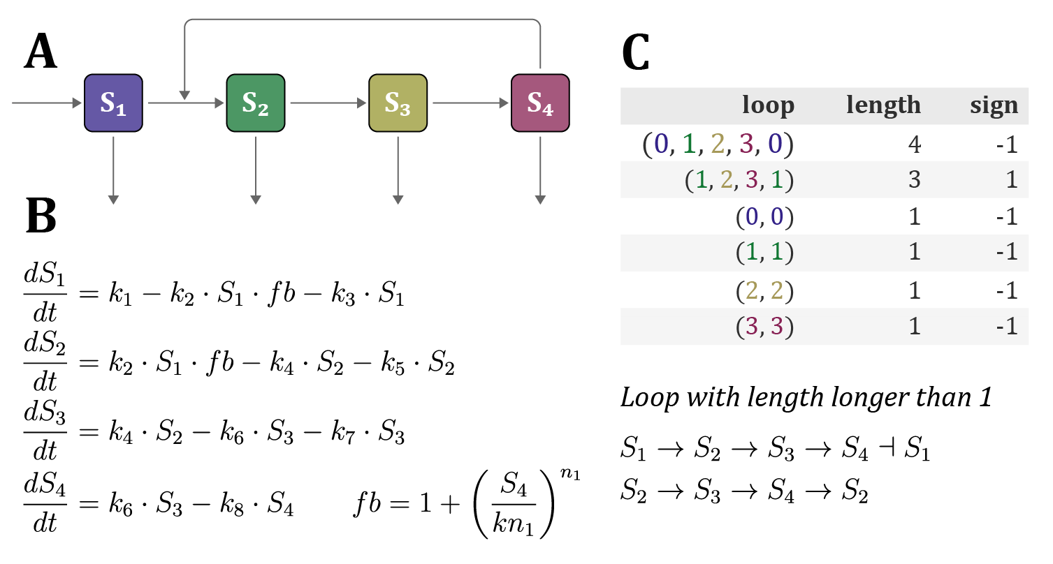 Example workflow from ODE model to detected feedback loops